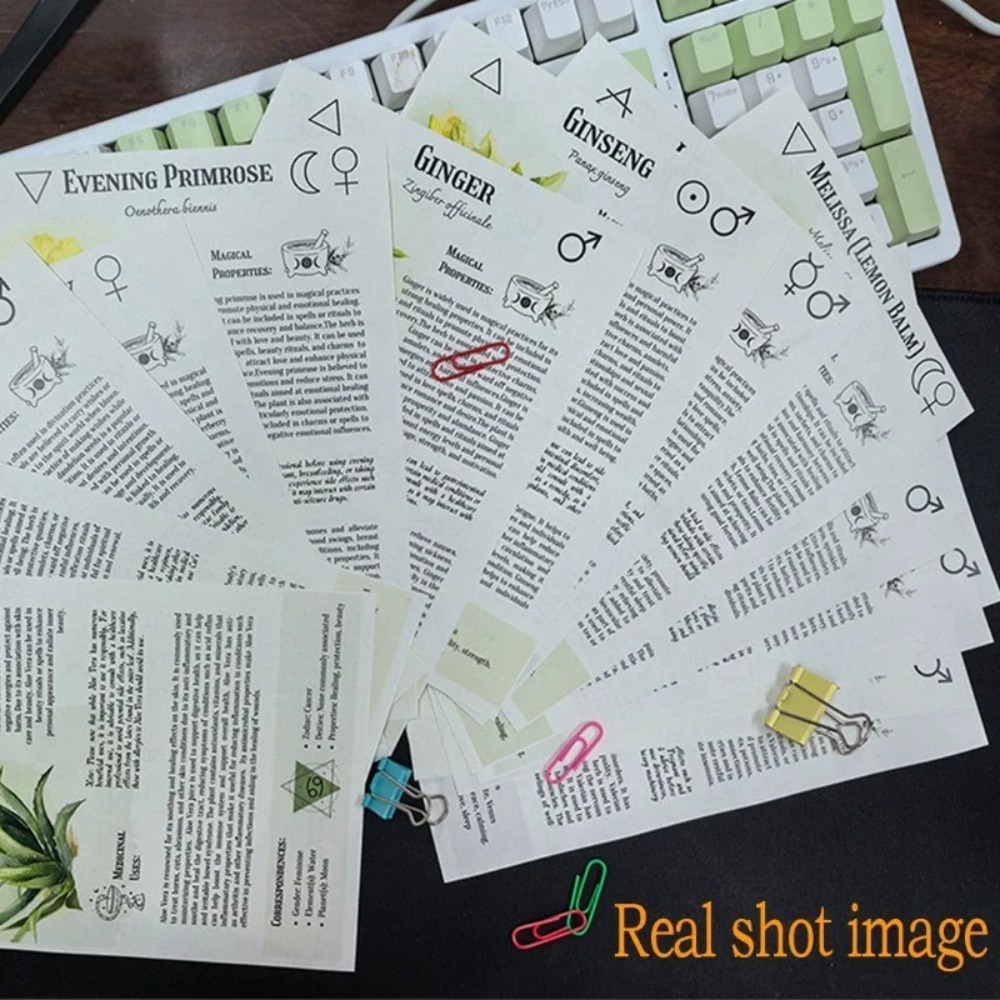 Tincture Recipes Book Crafting - Herbal Wellness Guide 评论和价格