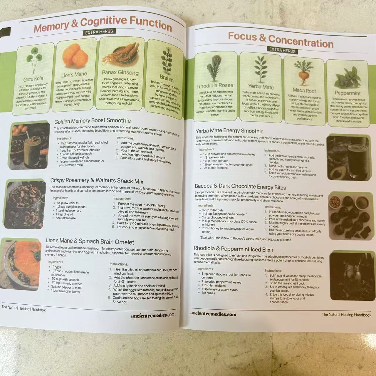 The Natural Healing Handbook | - Herbal Wellness Guide 评论和价格