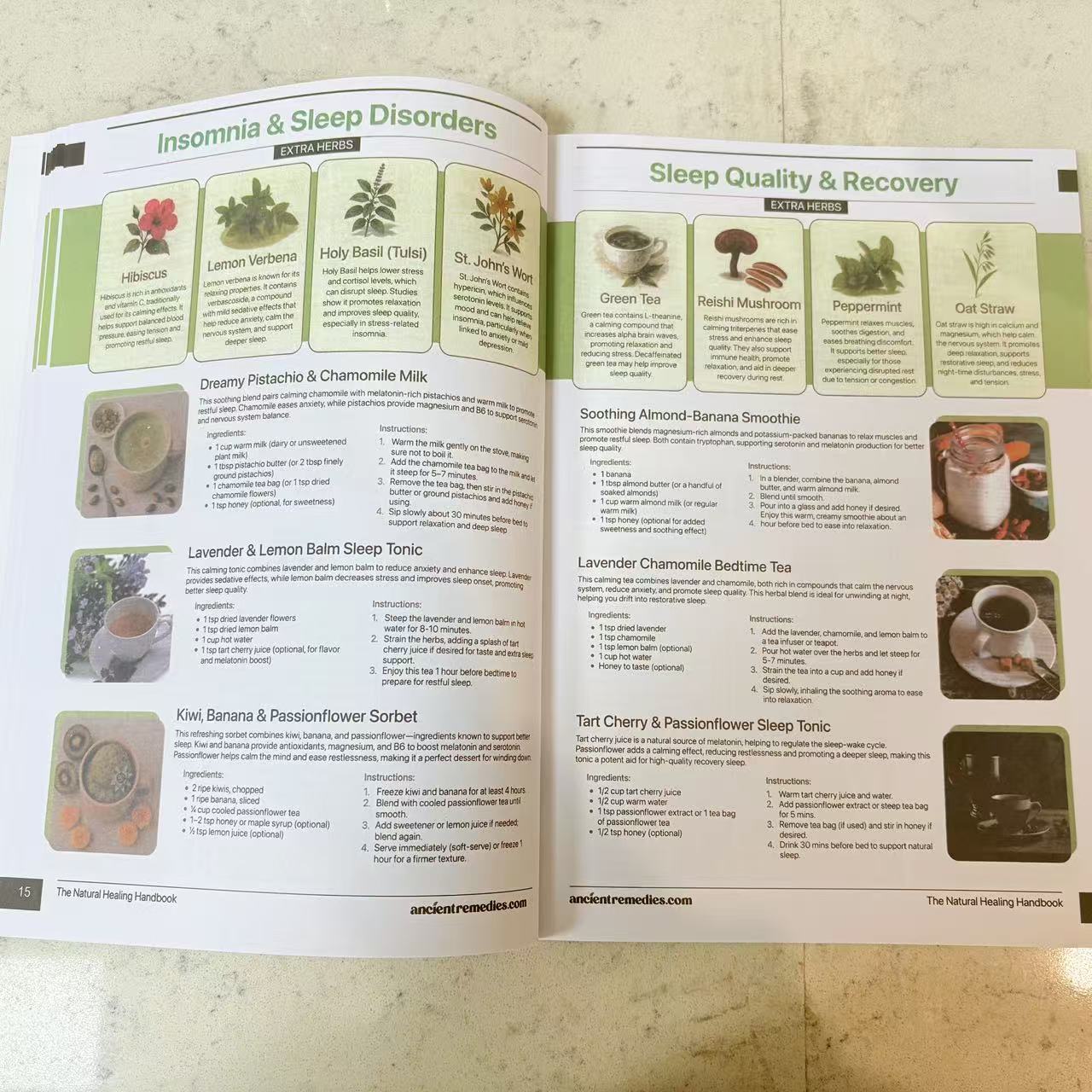 The Natural Healing Handbook | - Herbal Wellness Guide 评论和价格