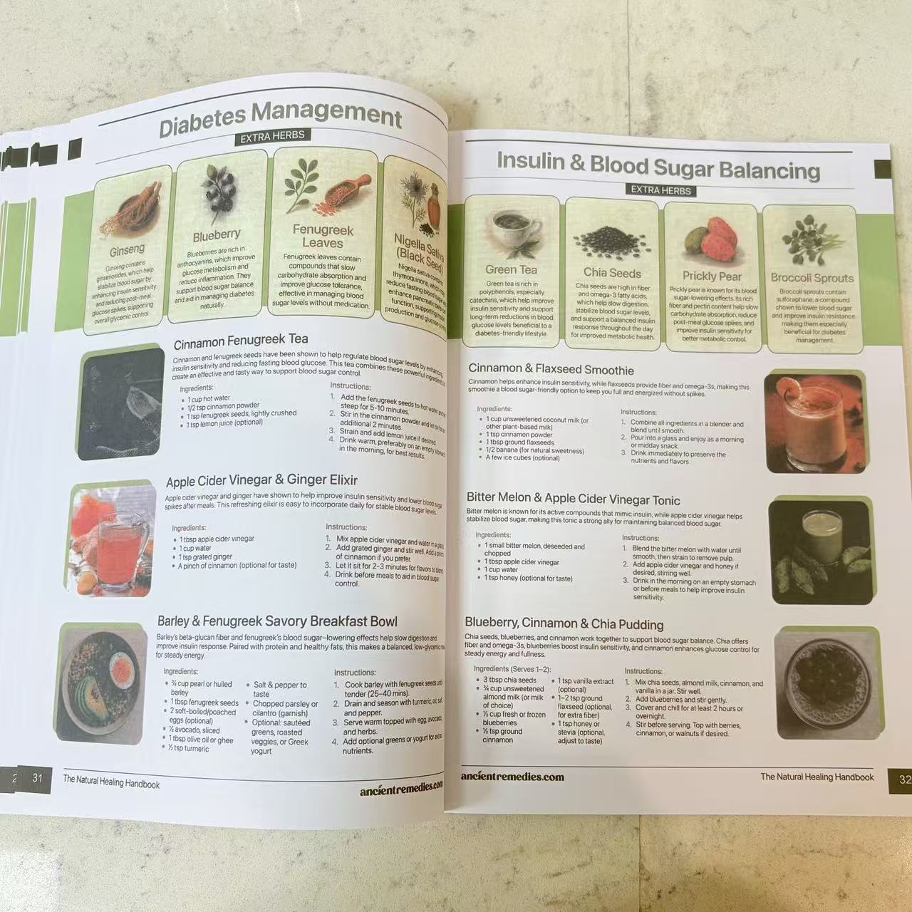 The Natural Healing Handbook | - Herbal Wellness Guide 评论和价格