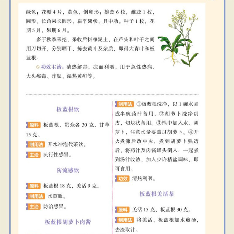 Single Herb TCM Nourishment Qu - Herbal Wellness Guide 评论和价格
